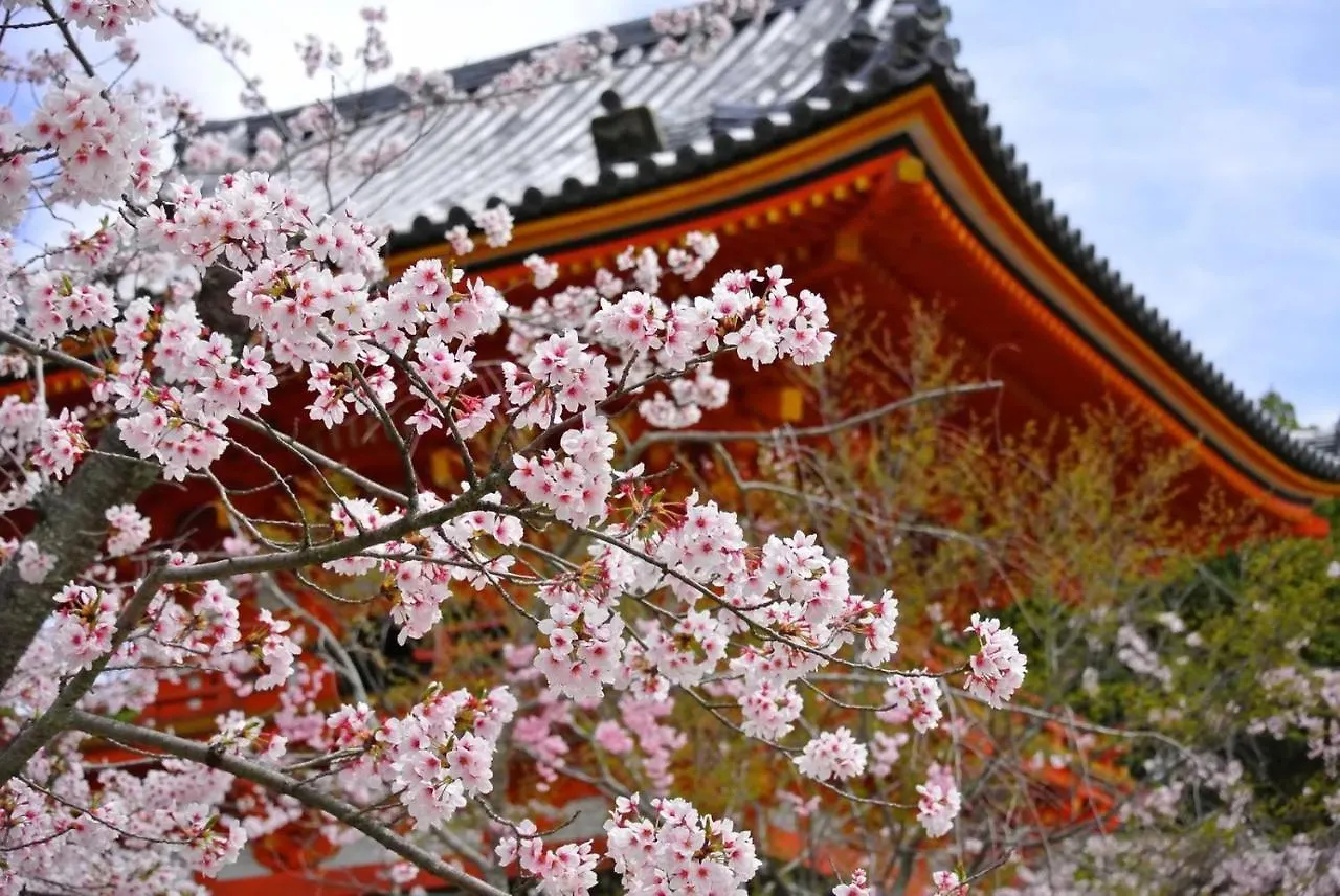 Stay Sakura Kyoto Fuga Japonya